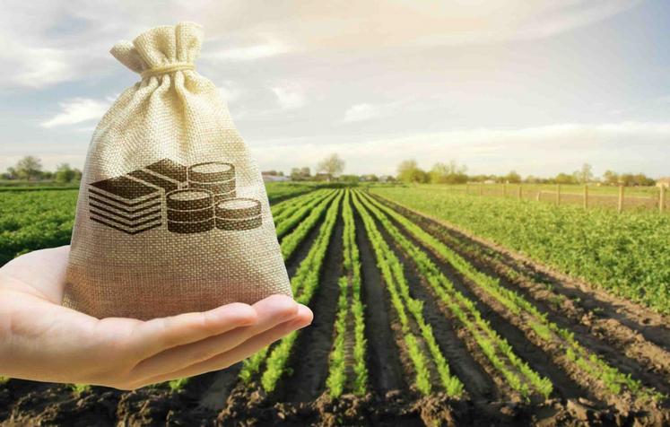 En 2020, parmi l'ensemble des ménages agricole, 16,2 % des personnes vivaient sous le seuil de pauvreté, un taux supérieur à la moyenne nationale.