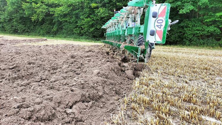 « Labourer est un vrai métier. Il faut pratiquer pour savoir régler correctement l’outil. Le labour doit être régulier sans laisser percevoir de nuances dans les reliefs de surface », indique Frédéric Berhaut.
