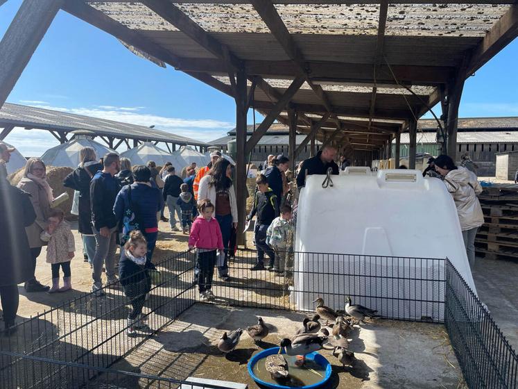 Ce 19 avril de nombreux visiteurs sont venus découvrir les animaux de la Ferme du chêne à Allouville-Bellefosse.
