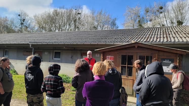 Olivier Blondel élève environ 1 200 cochons, avec un système d'engraissement de porcelets qu'il reçoit toutes les trois semaines à 10 kg, et qu'il amène jusqu'à 125 kg en sept mois.