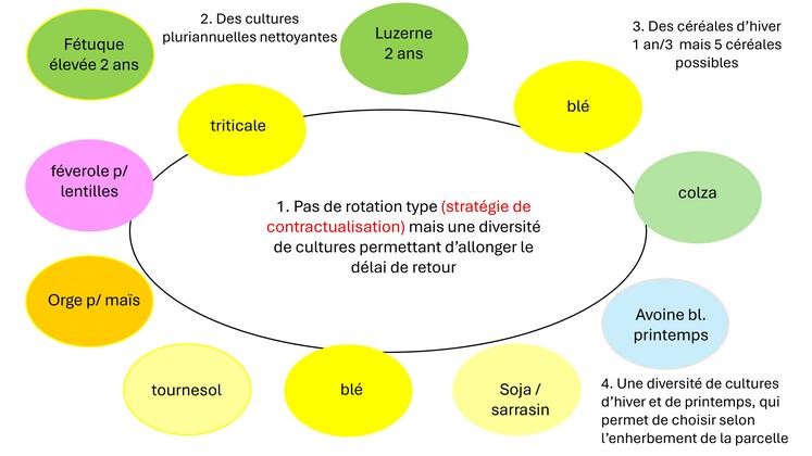Exemple de nouvelles cultures et de nouvelles espèces dans la rotation, à l’image de ce que pratique Thomas Bourgeois.