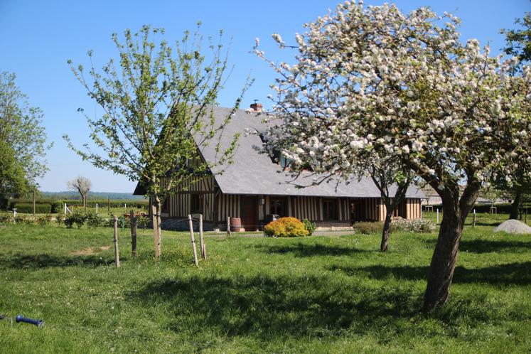 "Le Pressoir", le premier gîte ouvert par la famille Levavasseur (location uniquement de l'étage) se situe au cœur de l'exploitation.