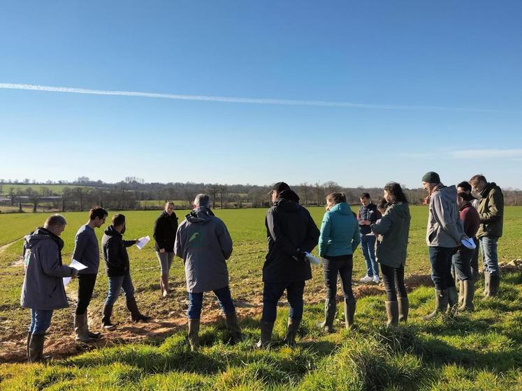 Mars 2025 : première visite de la parcelle qui accueillera l'expérimentation du système de culture polyculture élevage.