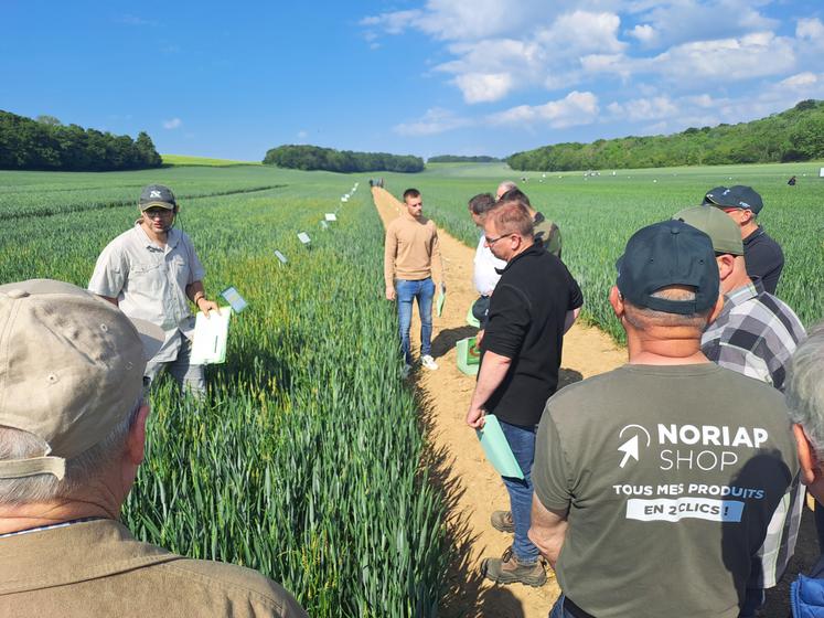Le levier date de semis s'avère être aujourd'hui le plus puissant.