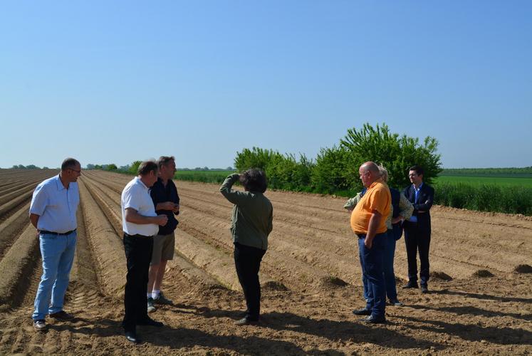 Déplacement sur une parcelle de pomme de terre pour évoquer les enjeux de la filière.