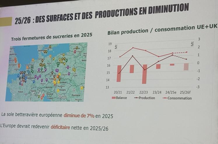 Le nombre de sucreries a été divisé par deux en Europe depuis 2000. 85 sucreries sont à ce jour en fonctionnement.