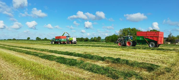 Maximiser la surface sur laquelle on expose le fourrage à l’air