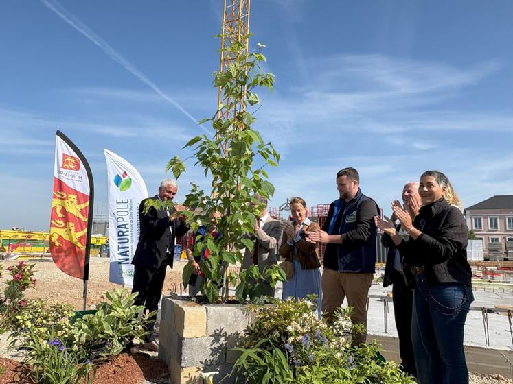 Hervé Morin, président de Région, a planté le premier arbre qui ornera l'entrée du nouveau campus Hortithèque de Terres-de-Caux.