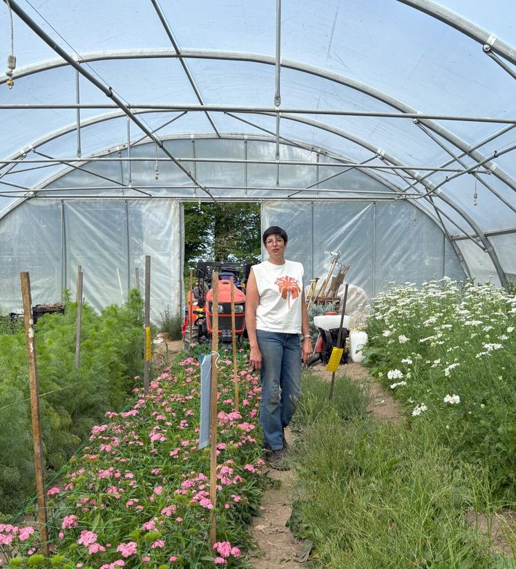 Alice Boissonnet a créé la première ferme florale de Seine-Maritime en 2021 : Du vent dans les bottes produit aujourd'hui une centaine d'espèces florales à destination des fleuristes.