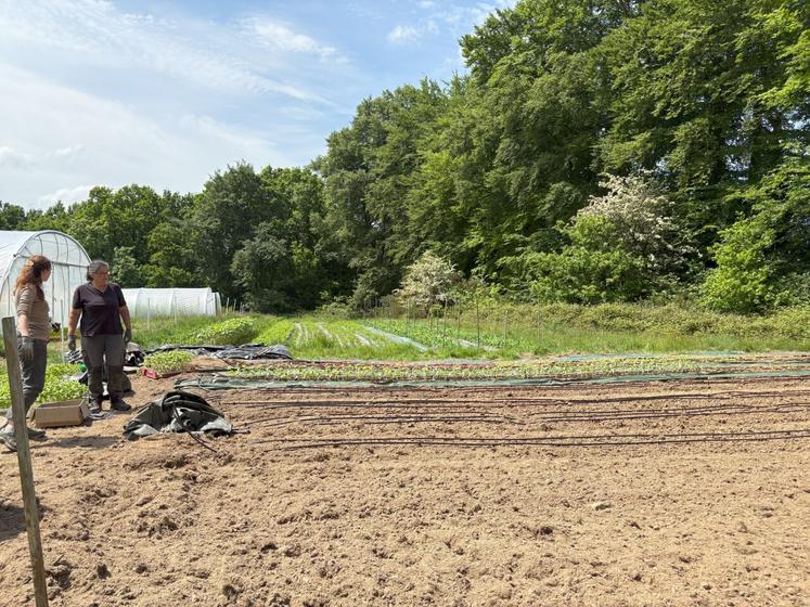 Carole et Justine préparent les planches avant la plantation.