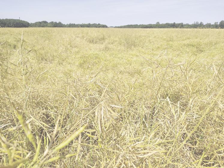 Dégâts à Nonancourt (27).