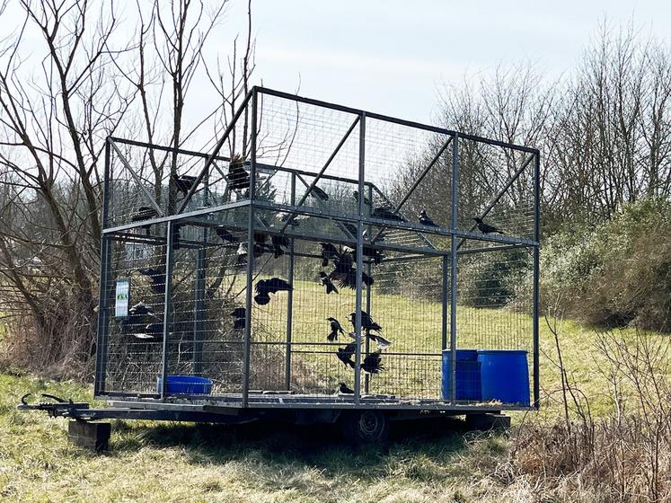 Alors que les associations écologistes multiplient les recours, le Conseil d'État ne valide les classements qu'avec des arguments solides. Les agriculteurs doivent donc déclarer sans faute.