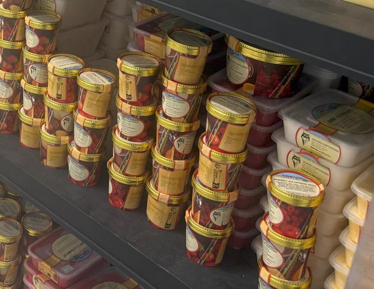 Glace de la Ferme fournit plus de 1 000 recettes de glaces, sorbet et desserts glacés.