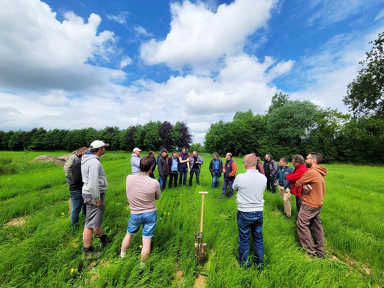 Olivier Tassel, agriculteur à Bertheauville, est président du GIEE Sol en Caux qui compare depuis plusieurs années les semoirs à disques et à dents.
