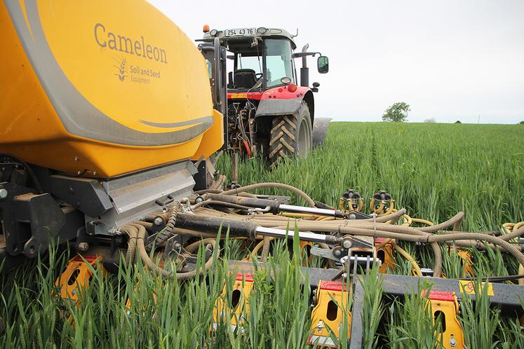 Le Caméléon pourrait apporter des réponses intéressantes en termes de désherbage mécanique. 