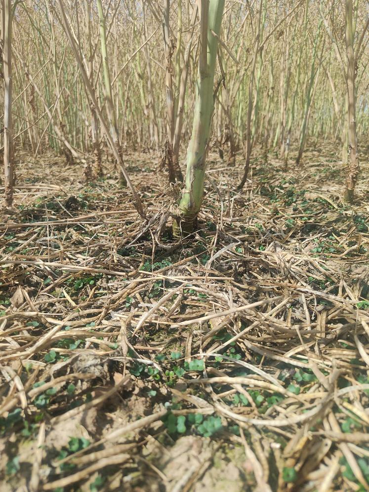 Dégâts à Nonancourt (27).