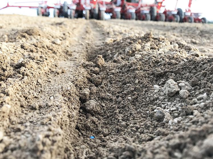 Quel que soit le semoir choisi, « le juge de paix est la régularité de levée de la culture ». Il faut donc connaître son sol, et régler son semoir en conséquence.