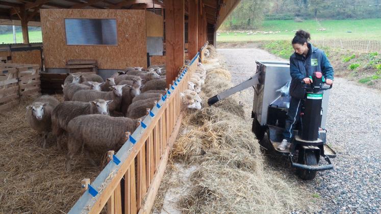 Les charges de mécanisation occupent une place de plus en plus importante dans le revenu des éleveurs ovins.
