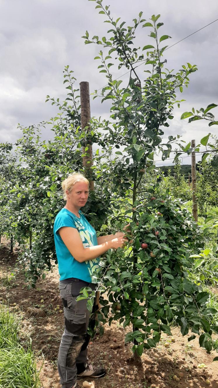 Émilie Mignot, arboricultrice et productrice de sapins à Elbeuf-en-Bray, est présidente du GDA Bray Sud depuis février 2025.