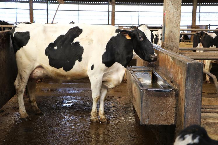 L'eau doit être de qualité, exempte de contaminants, pour éviter divers problèmes de santé.