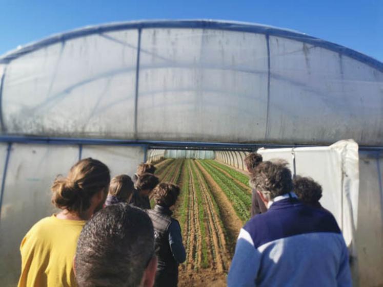 Des maraîchers bio de Seine-Maritime s'unissent pour relever les défis climatiques.