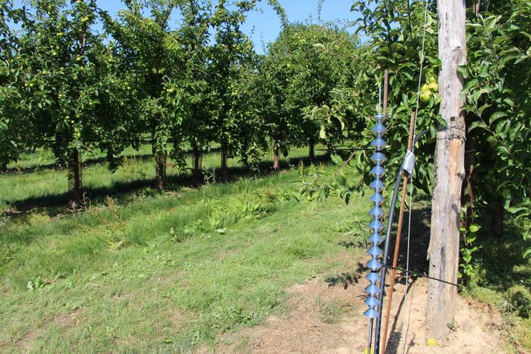 Des réflecteurs d'ondes permettent au robot de fonctionner sans GPS.