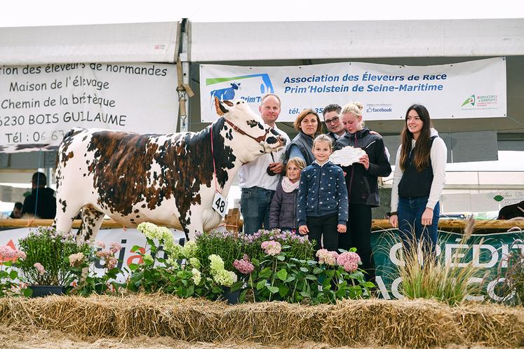 Championne Old Star en génisses normandes. 