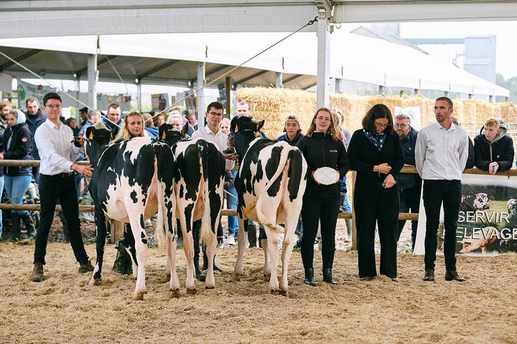 Prix d'élevage en race prim'holstein.