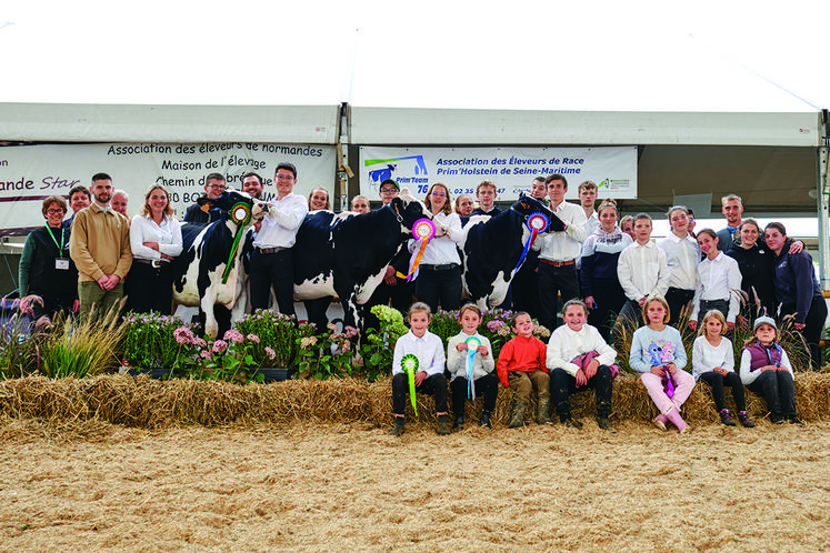 Concours des jeunes présentateurs. Un nombre important de participants et pour la première fois une présentation de races allaitantes.