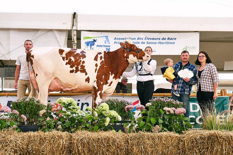 Grande championne en race prim'holstein.