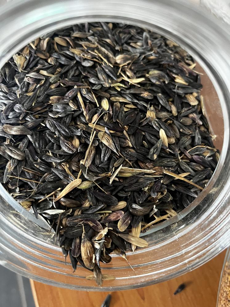 Les graines sont pressées pour donner de l'huile.