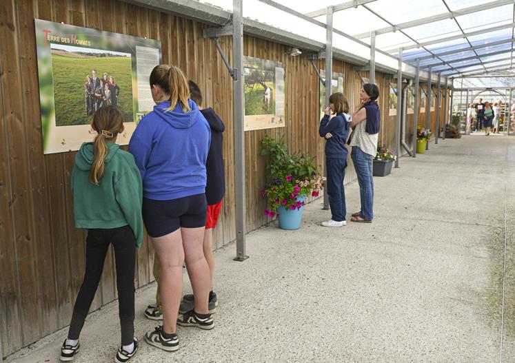 L'exposition Terre des Hommes, accessible et gratuite jusqu'à la fin de l'année chez Argentain Plants à Octeville-sur-Mer.