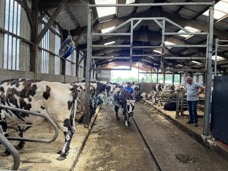 "Les vaches, et même les génisses, s'habituent très bien au robot", témoigne Jérôme Bourgault.