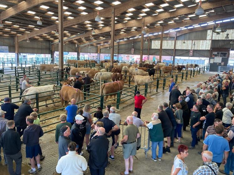 Les visiteurs ont répondu présents lors de cette journée.