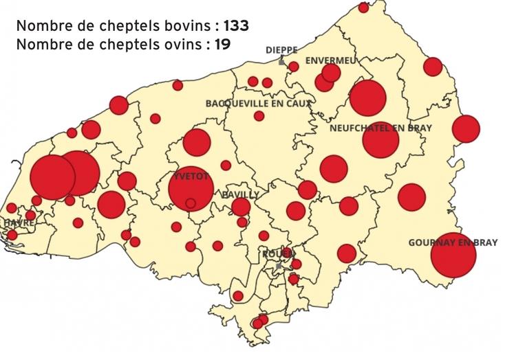 Répartition des 152 cas positifs de FCO-3 en Seine-Maritime au 28 août.