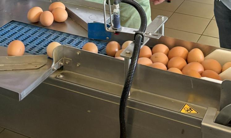 Depuis 2019, la création d'un centre d'emballage a permis une totale indépendance dans la commercialisation des œufs. Il sera agrandi pour répondre à l'augmentation du volume d'œufs commercialisés.