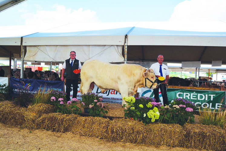 Prix d’honneur mâles junior. Visiteur du Gaec La Mare aux Ifs (76).