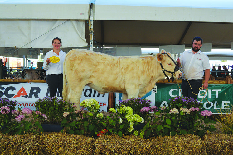 Prix femelles d’automne 2e section. Vandoise du Gaec de Villeneuve (76).