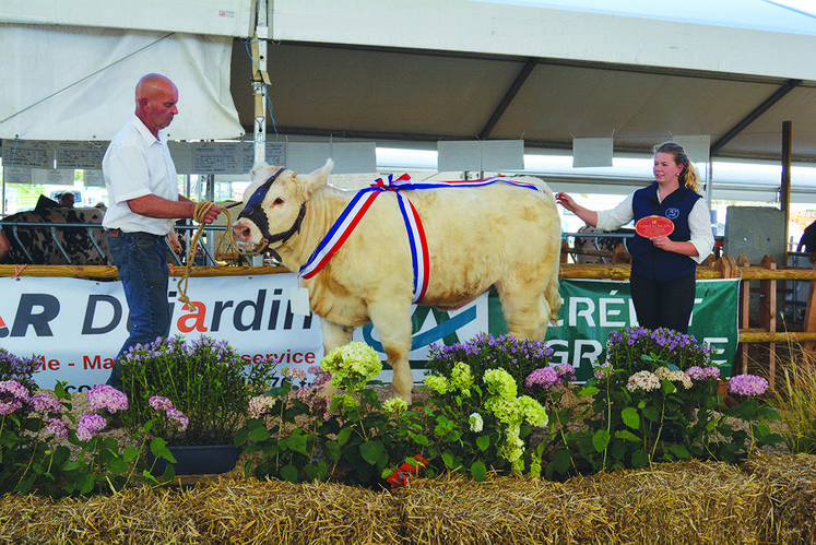 Prix d’honneur veaux femelles d’automne. Anabelle de l’EARL La Mare aux Iris.