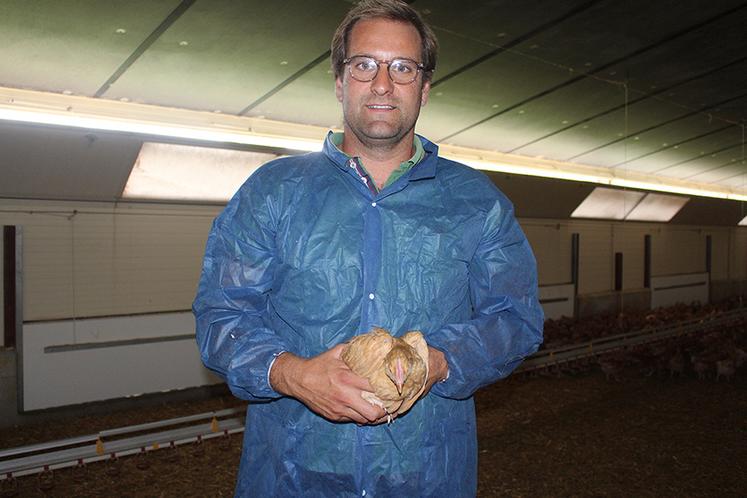 Alexis Tordeur a créé un atelier de production de poulets de chair Label rouge à Rully (Oise).