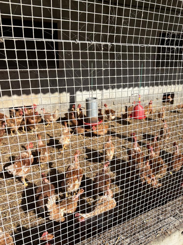 La vigilance doit être permanente toute l’année mais nous entrons dans la période à risque.