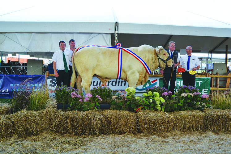 Grand prix d’honneur mâles. Sardou du Gaec La Mare aux Ifs (76).