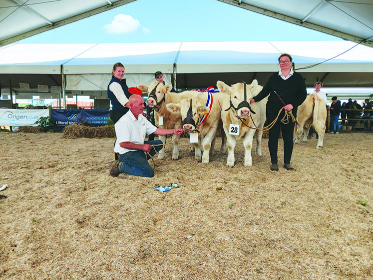 Prix d’ensemble veaux femelles. La Mare aux Iris (76).