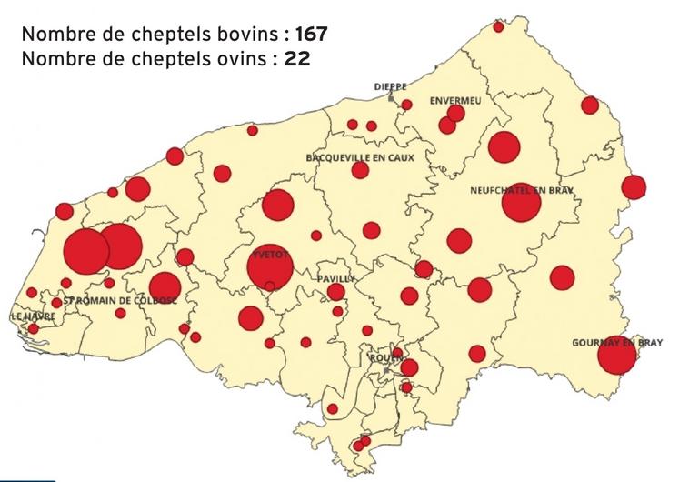 Répartition des 189 cas positifs de FCO-3 en Seine-Maritime au 21 août.