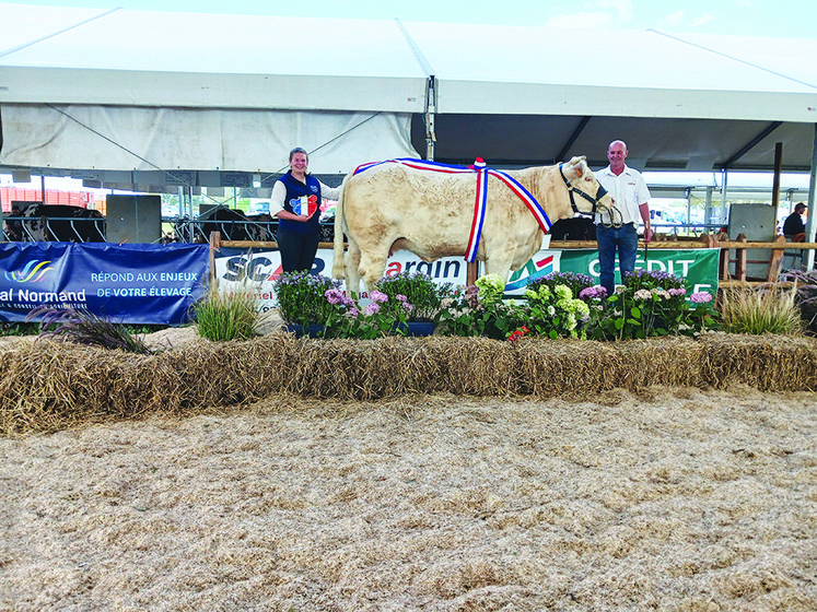 Grand prix d’honneur femelles. Supergirl de l’EARL La Mare aux Iris (76).