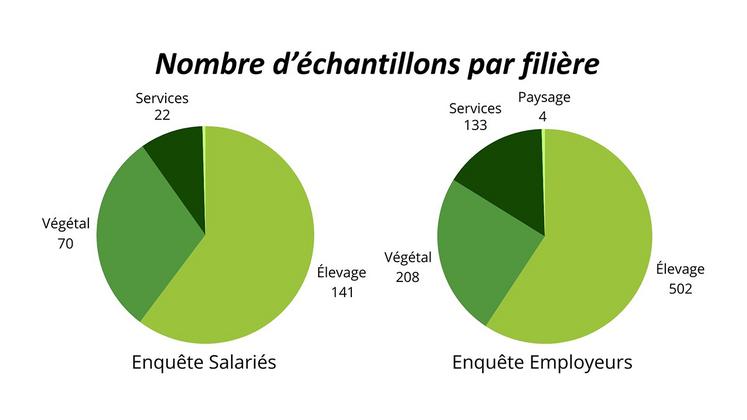 Nombre d’échantillons par filière.