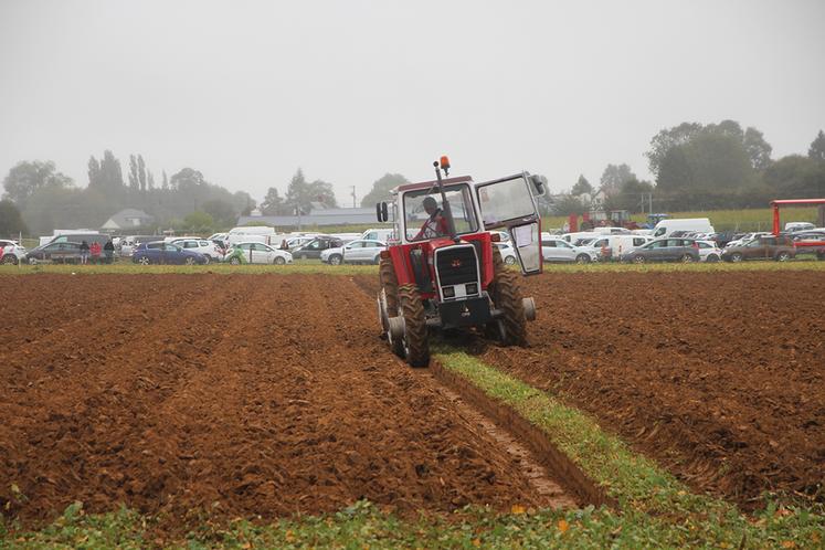 Malgré le crachin du dimanche, les conditions de travail étaient idéales pour les laboureurs.