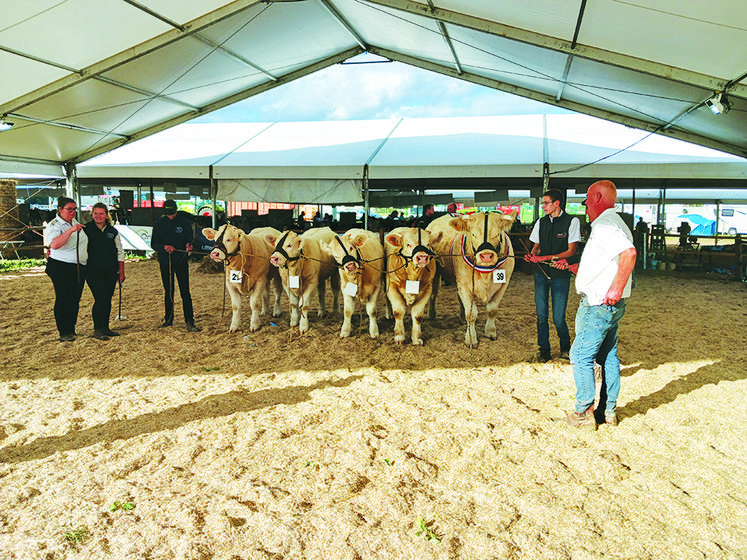 Prix de descendance veaux. EARL La Mare aux Iris (76).