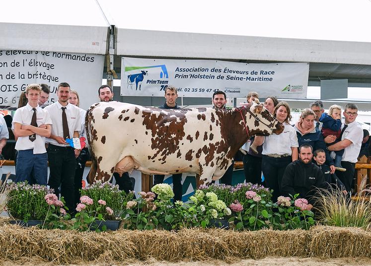 Grande championne en race normande. 