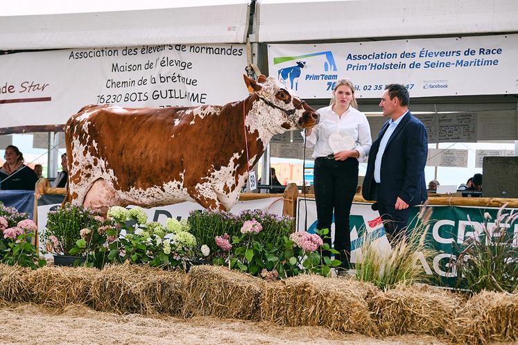 Meilleure fromagère en race normande.